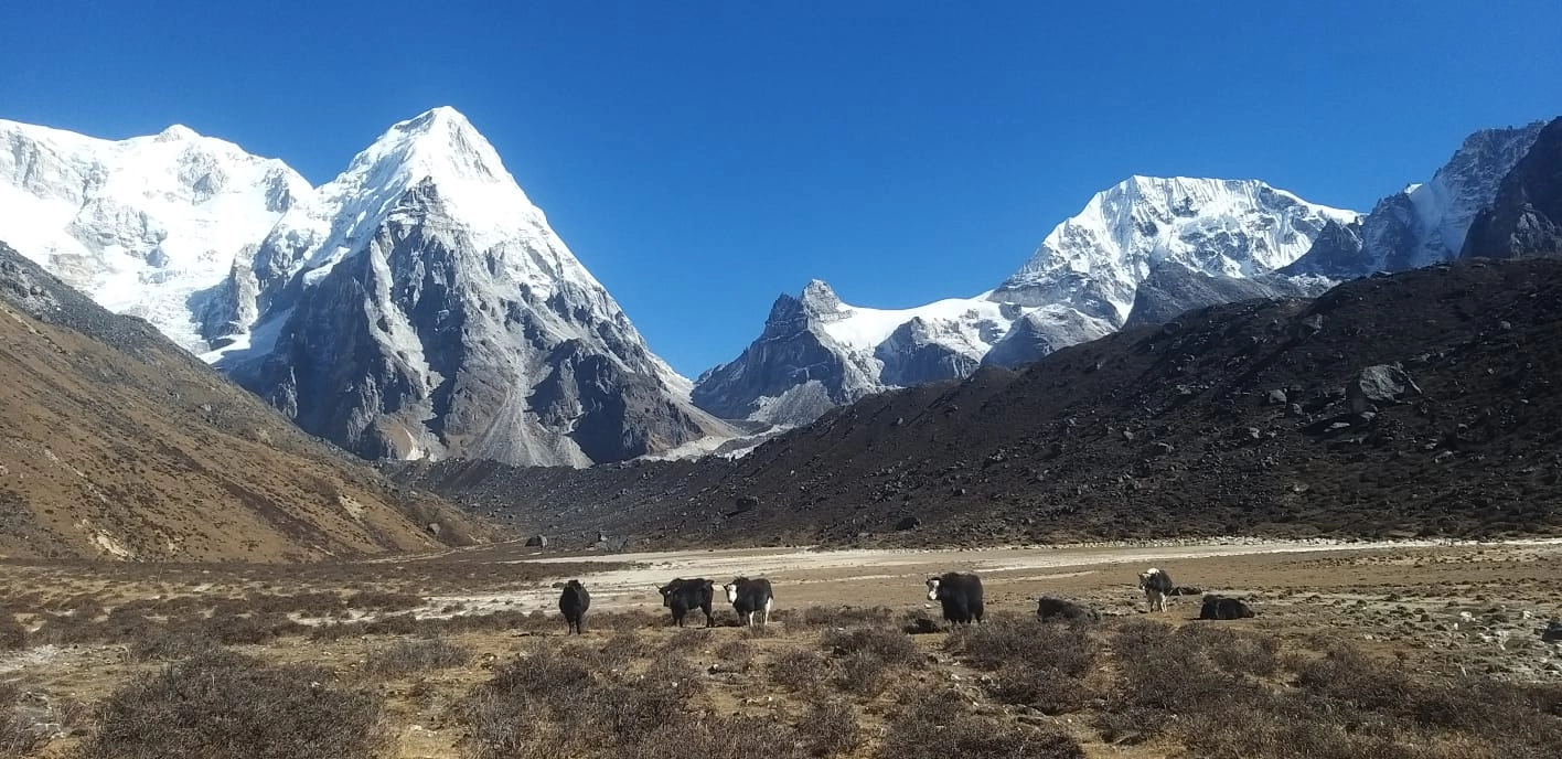 kanchanjunga expedition