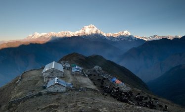 Khopra Danda Trek