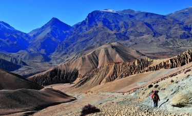 Mustang Trek